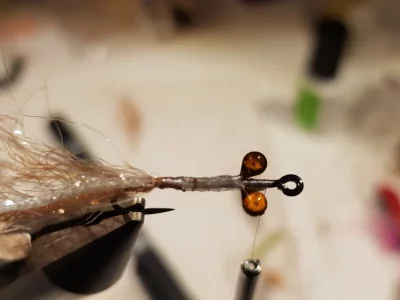 20190127_144303.webp 20190127_144303.webp