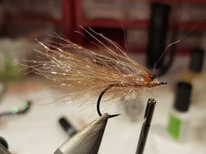 20190127_144630.jpg 20190127_144630.jpg