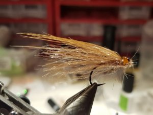 20190127_144913.jpg 20190127_144913.jpg