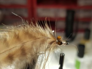 20190127_145232.jpg 20190127_145232.jpg