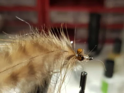 20190127_145232.webp 20190127_145232.webp