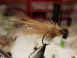 20190127_150055.jpg 20190127_150055.jpg