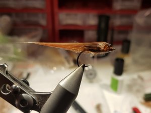 20190127_150157.jpg 20190127_150157.jpg