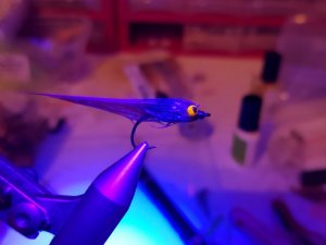 20190127_150218.jpg 20190127_150218.jpg