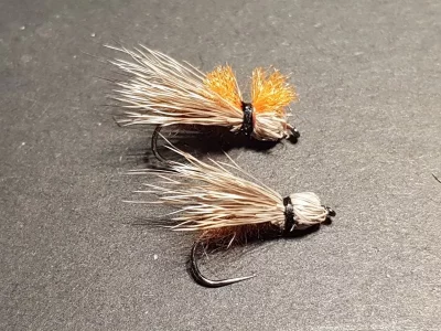 20190128_120545_Bullethead Spruce Moth.webp