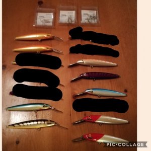Collage 2019-01-30 22_08_40.jpg
