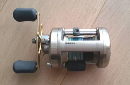 2019-02-02 16.14.07.webp