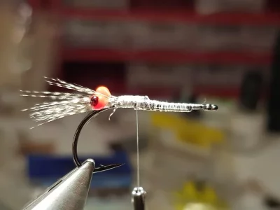 20190202_213145.webp 20190202_213145.webp