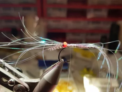 20190202_213506.webp 20190202_213506.webp