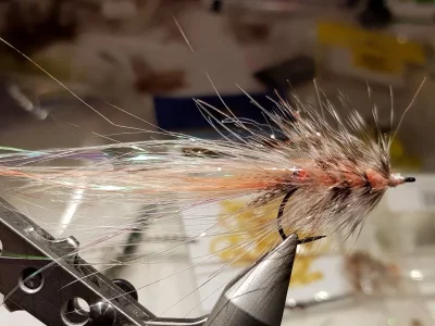 20190202_215906.webp 20190202_215906.webp