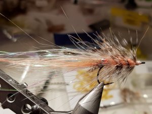 20190202_215906.jpg 20190202_215906.jpg