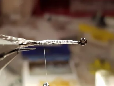 20190202_212749.webp 20190202_212749.webp