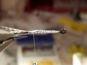 20190202_212749.jpg 20190202_212749.jpg