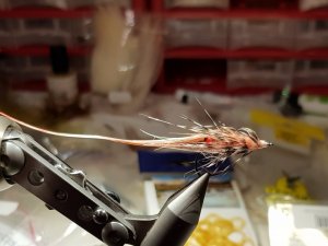 20190202_220029.jpg 20190202_220029.jpg