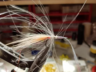 20190202_214339.webp 20190202_214339.webp