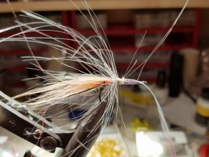 20190202_214339.jpg 20190202_214339.jpg