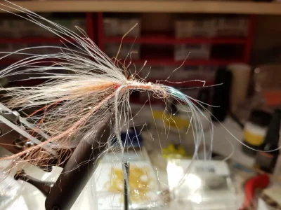 20190202_214649.webp 20190202_214649.webp