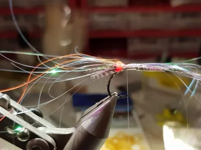 20190202_213715.webp 20190202_213715.webp