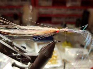 20190202_214013.jpg 20190202_214013.jpg