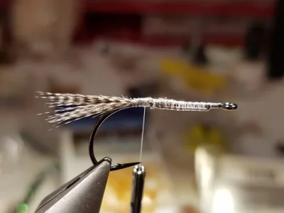 20190202_212711.webp 20190202_212711.webp