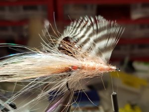 20190202_215314.jpg 20190202_215314.jpg