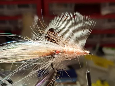 20190202_215314.webp 20190202_215314.webp