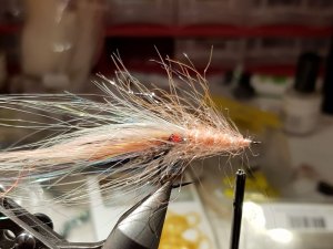 20190202_215030.jpg 20190202_215030.jpg