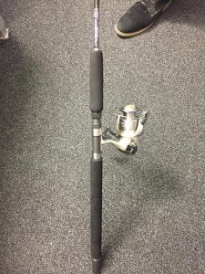 IMG-20190206-WA0009.jpg IMG-20190206-WA0009.jpg