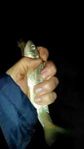 20190209_181338.jpg