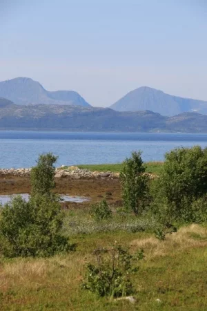 IMG_9401.webp IMG_9401.webp