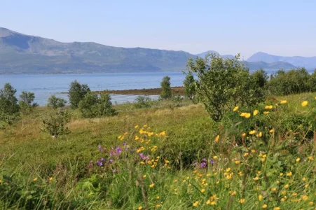 IMG_9407.webp IMG_9407.webp