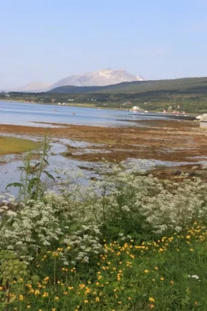 IMG_9429.webp IMG_9429.webp