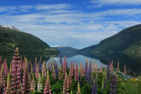 IMG_5635.webp IMG_5635.webp