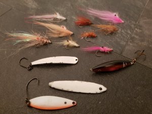 20190213_211519.jpg 20190213_211519.jpg