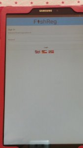 15510926973224123704215822753830.jpg