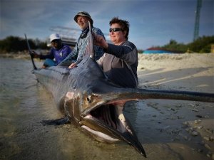 IMG-20190227-WA0012.jpg IMG-20190227-WA0012.jpg