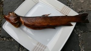 2019-03-04 14.08.30.jpg