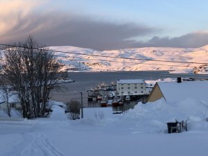 E2EFE424-1091-419F-A51E-6671BD34EF67.jpeg E2EFE424-1091-419F-A51E-6671BD34EF67.jpeg