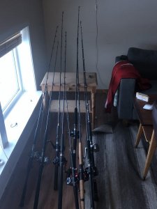 09849CD5-8BD4-4D67-947A-A00CC3FD5D89.jpeg 09849CD5-8BD4-4D67-947A-A00CC3FD5D89.jpeg