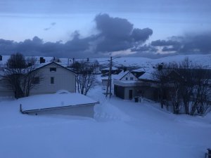 124E7FC1-67D8-4490-9594-4682F4DE0DE0.jpeg 124E7FC1-67D8-4490-9594-4682F4DE0DE0.jpeg