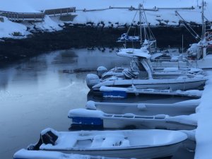 8113120F-F806-4AE9-A941-ADB7ACA616E9.jpeg 8113120F-F806-4AE9-A941-ADB7ACA616E9.jpeg