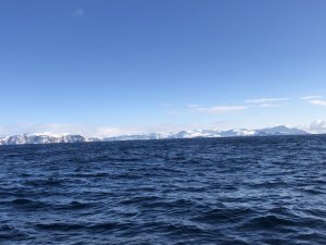 AB695EA8-4032-4614-AC3E-E7273C5067CB.jpeg AB695EA8-4032-4614-AC3E-E7273C5067CB.jpeg