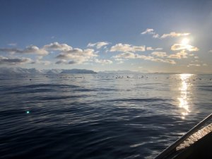 AA9A282E-A348-4835-90A6-E315585300FC.jpeg AA9A282E-A348-4835-90A6-E315585300FC.jpeg