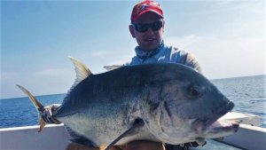 1fc86c81-624f-4985-a4a0-cd01de11401e.jpg 1fc86c81-624f-4985-a4a0-cd01de11401e.jpg