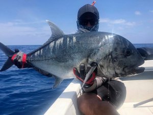 d8c45b51-723a-4623-9c1a-c6d522623f4a.jpg d8c45b51-723a-4623-9c1a-c6d522623f4a.jpg