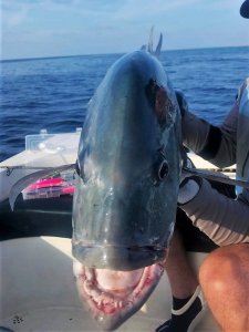 d3973273-2c99-43f9-b102-7417c1a64d37.jpg d3973273-2c99-43f9-b102-7417c1a64d37.jpg