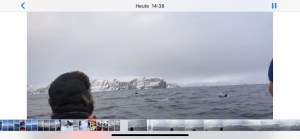 FBAFBFEC-A786-4DAA-851A-8AD77803A208.png FBAFBFEC-A786-4DAA-851A-8AD77803A208.png