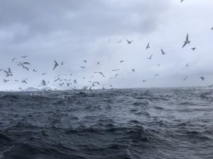 2EB03B56-6847-40CD-910C-EFEFB2273D8F.jpeg 2EB03B56-6847-40CD-910C-EFEFB2273D8F.jpeg