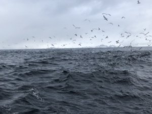 2642FFBC-0DE5-4CF3-A1EC-CDFADC7D2BE6.jpeg 2642FFBC-0DE5-4CF3-A1EC-CDFADC7D2BE6.jpeg