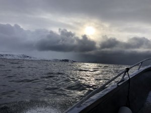 5ACE9427-1135-48C0-8A8D-4E08D8DA6EA2.jpeg 5ACE9427-1135-48C0-8A8D-4E08D8DA6EA2.jpeg